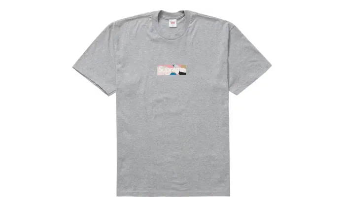 Supreme Emilio Pucci Box Logo Tee Grey Dusty Pink